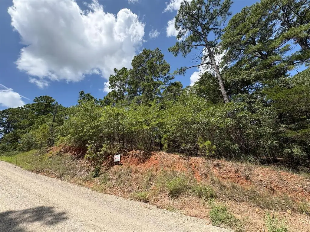 120 Molokini Dr, Bastrop, TX 78602 - #1