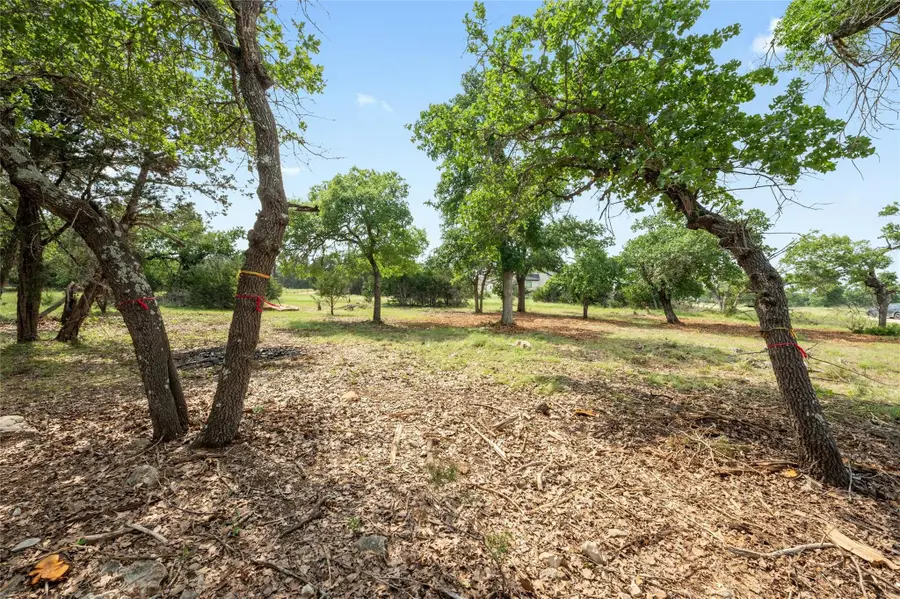 294 Mae Pt, Dripping Springs, TX 78620 - #3