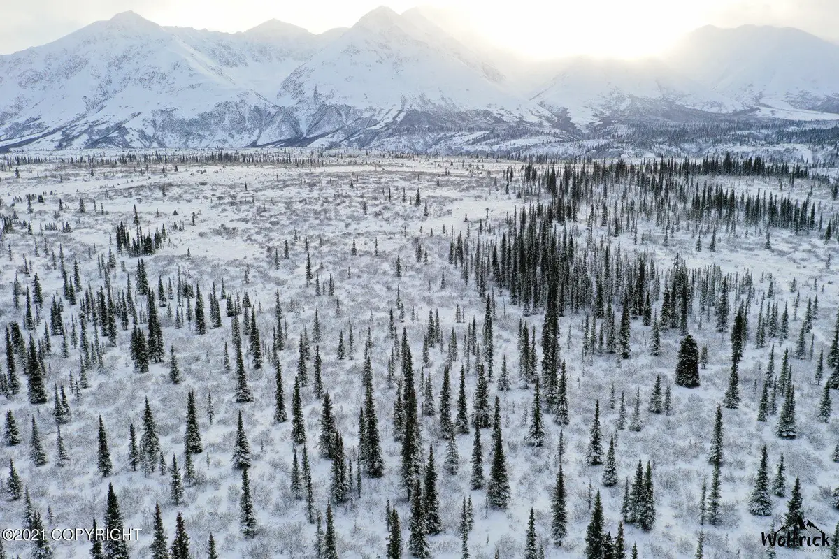 B3-L5 Denali Jack River Canyon, Cantwell, AK 99729 - #1