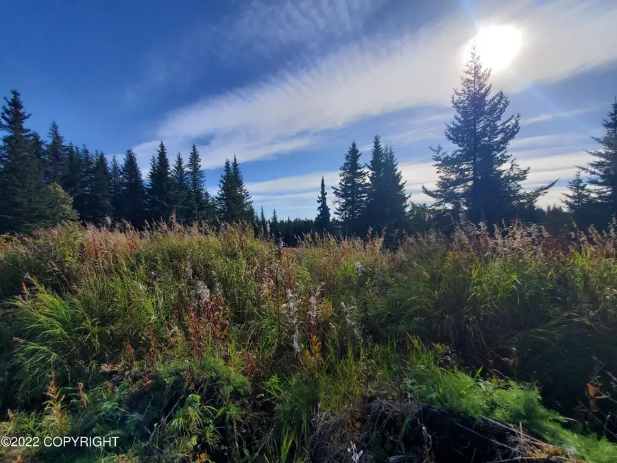 67761 Shavila Road, Ninilchik, AK 99639 - #2