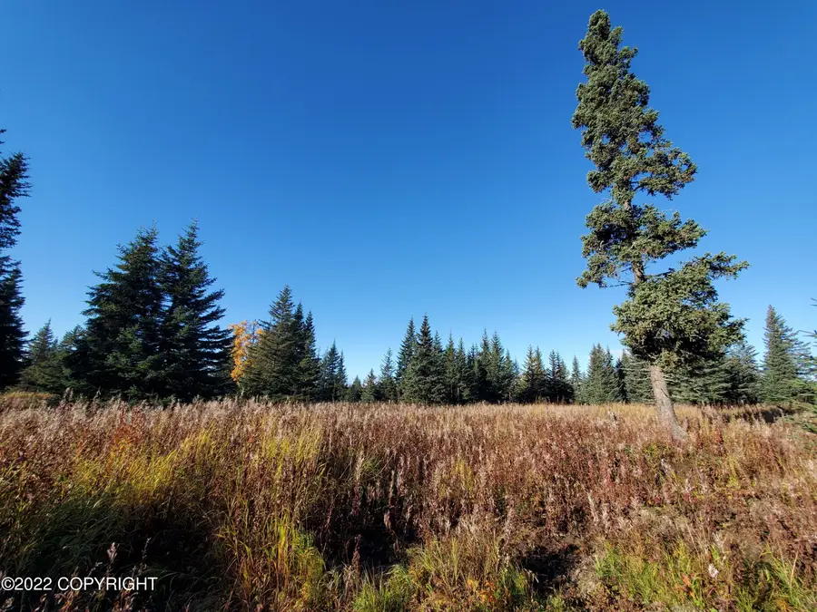 67658 Shavila Road, Ninilchik, AK 99639 - #2