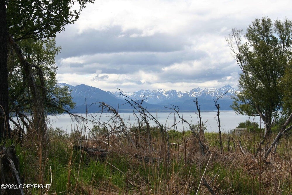 000 Alaska State Land Survey, Homer, AK 99603 BHGRE