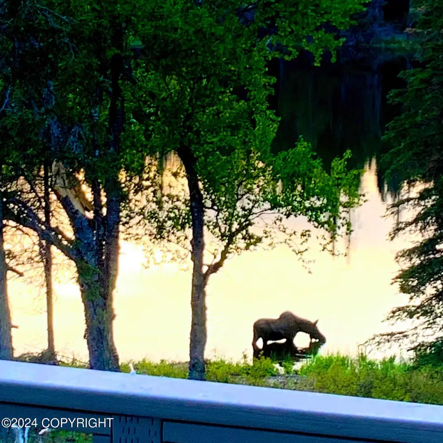 53578 Bell Avenue, Nikiski, AK 99611 - Image #2