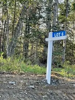 Lot 6 Dahlia Circle, Soldotna, AK 99669 - #2