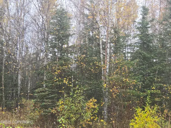 L1 B1 Brenden Boulevard, Copper Center, AK 99573