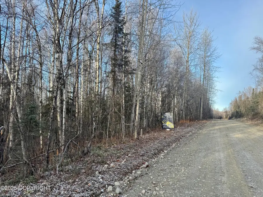 46946 S Shaman Road, Willow, AK 99688 - Image #3