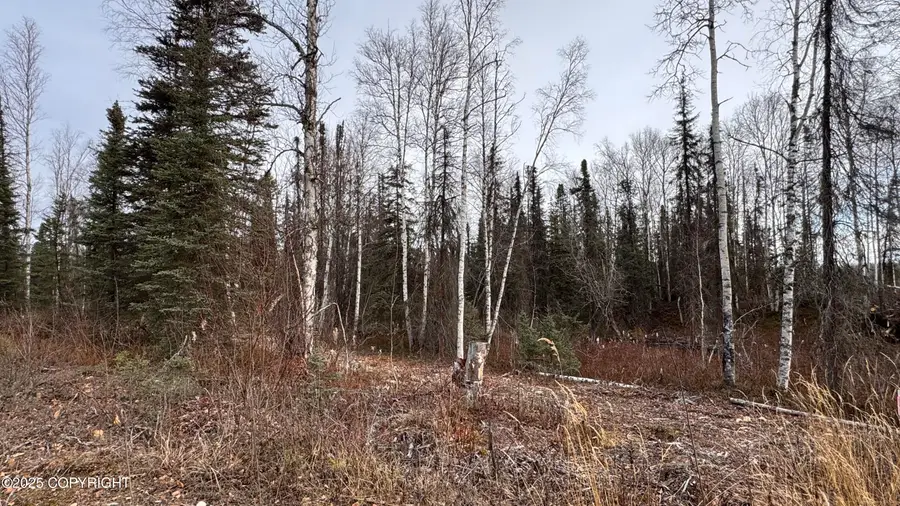 673 N Wilhelm Street, Houston, AK 99623 - Image #2