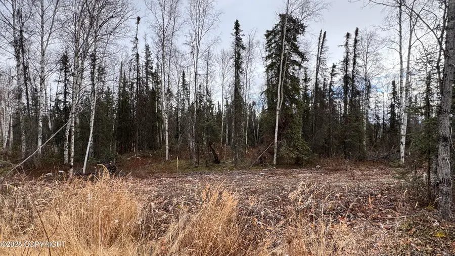 673 N Wilhelm Street, Houston, AK 99623 - Image #3