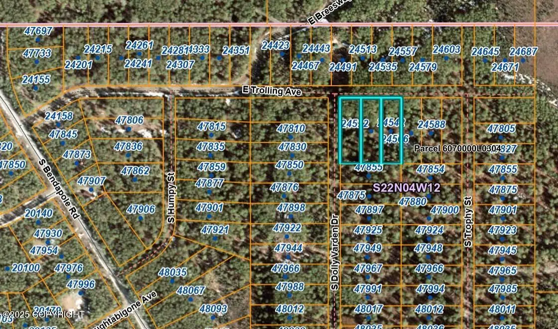 24522 E Trolling Avenue, Willow, AK 99688 - Image #1