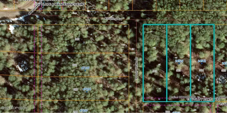 24522 E Trolling Avenue, Willow, AK 99688 - Image #3