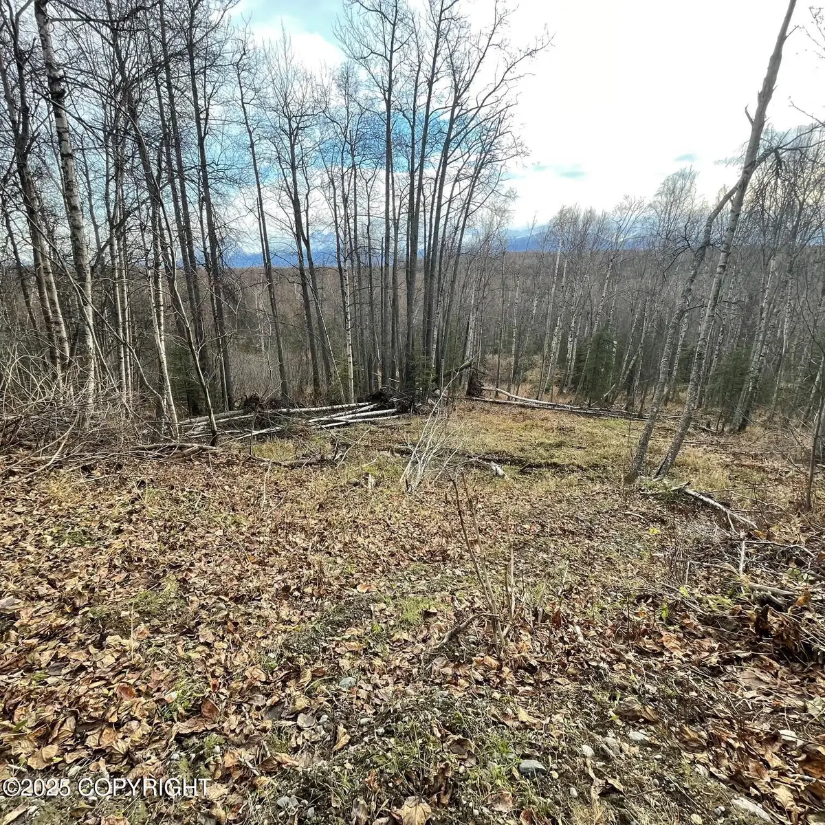 5500 W Birch Harbor Drive, Wasilla, AK 99623 - Image #1