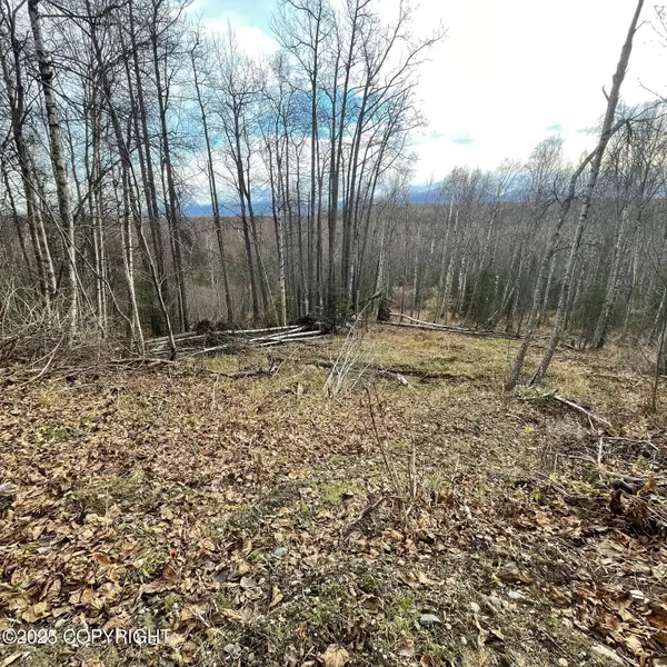 5500 W Birch Harbor Drive, Wasilla, AK 99623