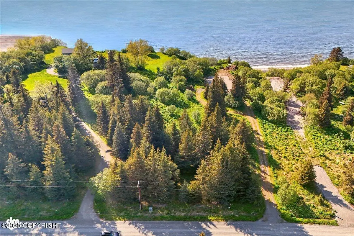 32775 Shorebird Lane, Anchor Point, AK 99556 - Image #1