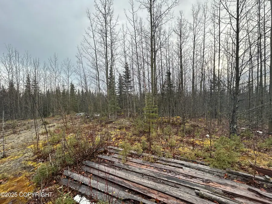 36130 Feuding Lane, Sterling, AK 99672 - Image #3
