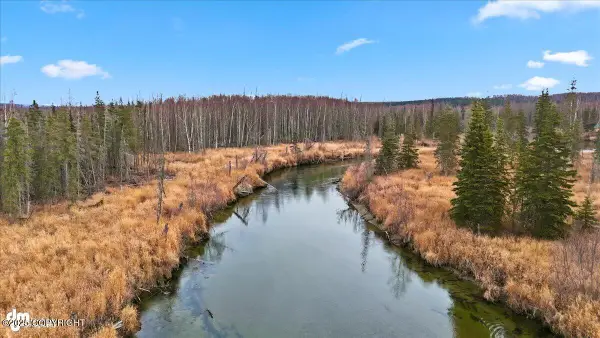 12159 W Armstrong Road, Houston, AK 99623