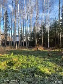 17023 Riddell Street, Eagle River, AK 99577 - Image #3