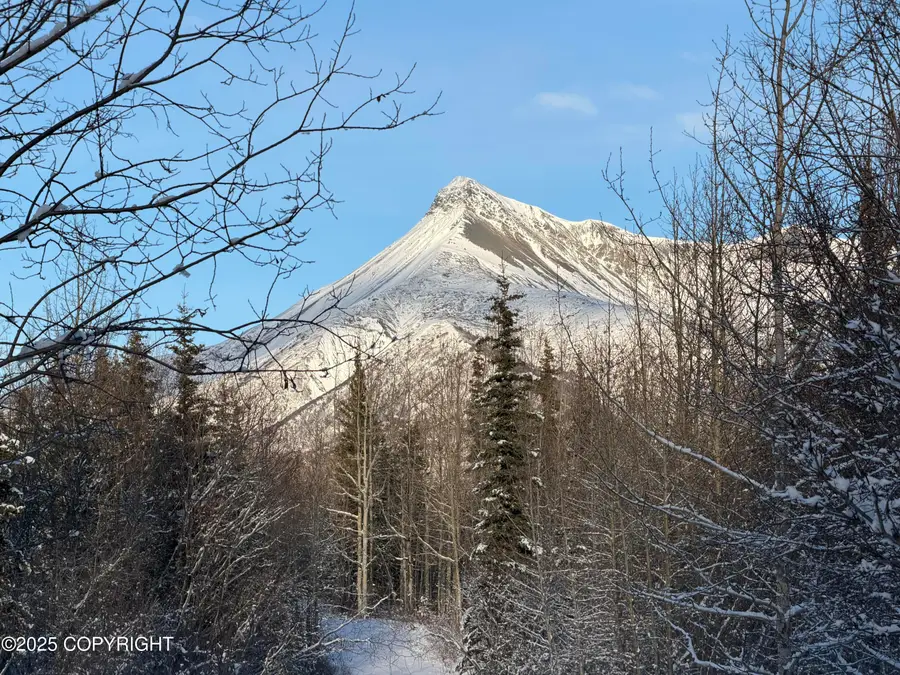 35251 W Glenn Highway, Chickaloon, AK 99674 - Image #2