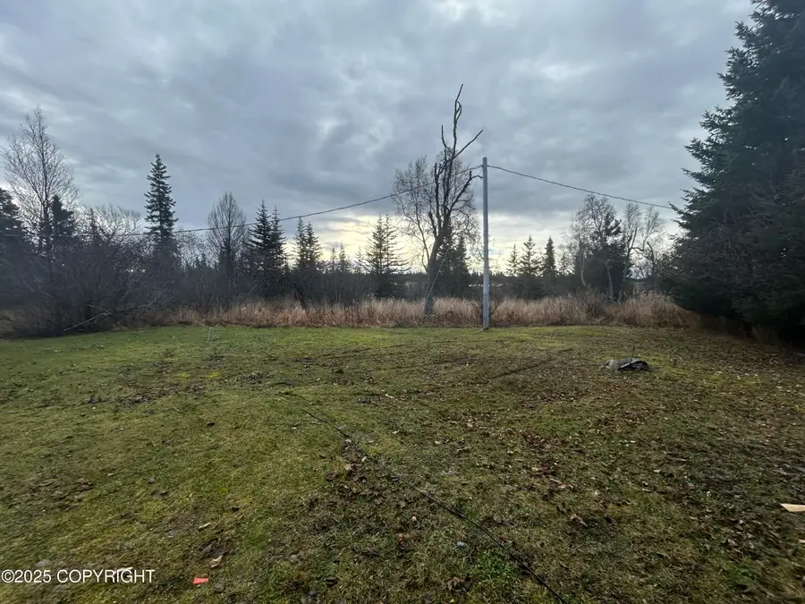 67835 Fishhook Drive, Ninilchik, AK 99639 - Image #3