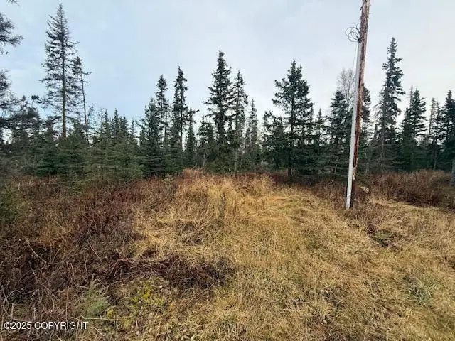 123 Johnny Road, Salamatof, AK 99611 - Image #3