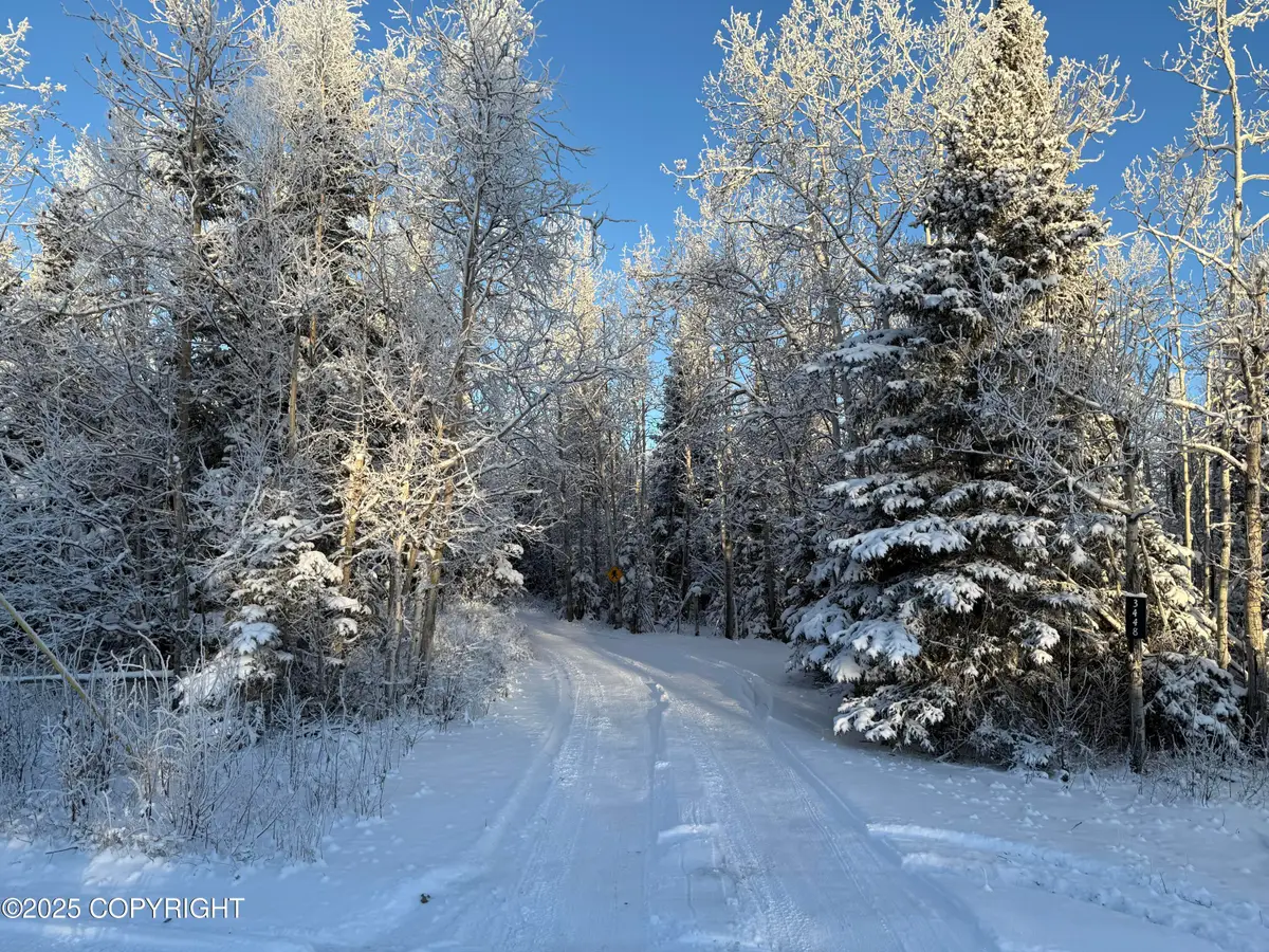 3448 Jack Warren Road, Delta Junction, AK 99737 - Image #1