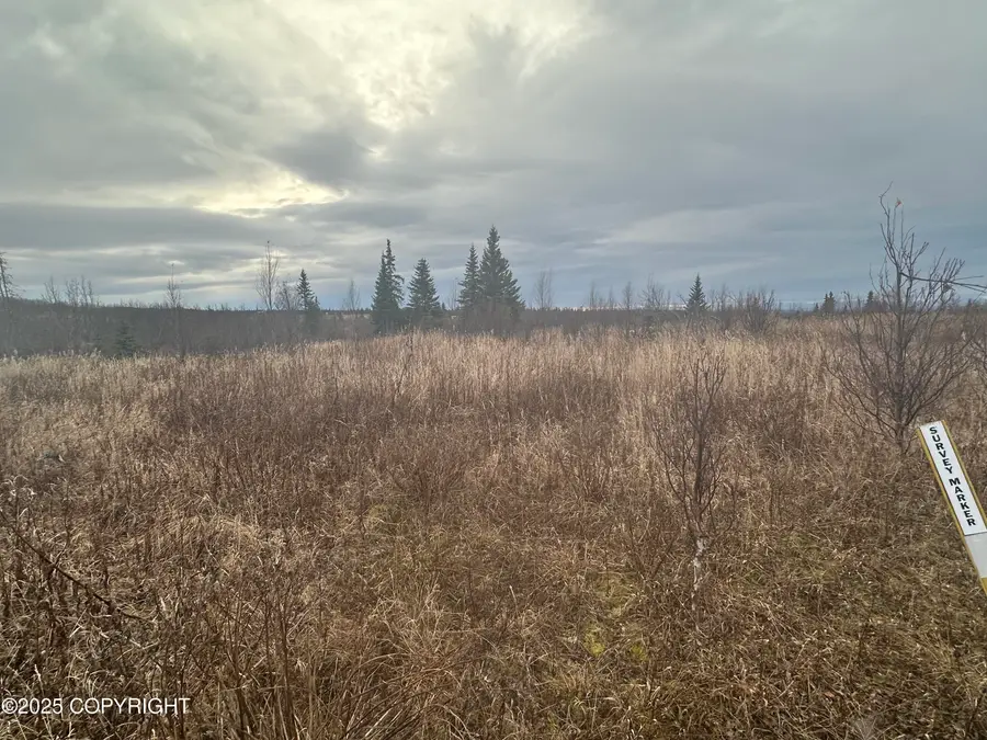 000 Matson Street, Ninilchik, AK 99639 - Image #2