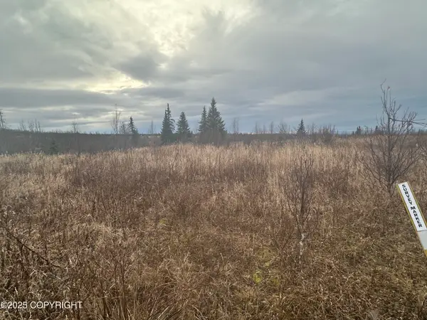 004 Wells Street, Ninilchik, AK 99639