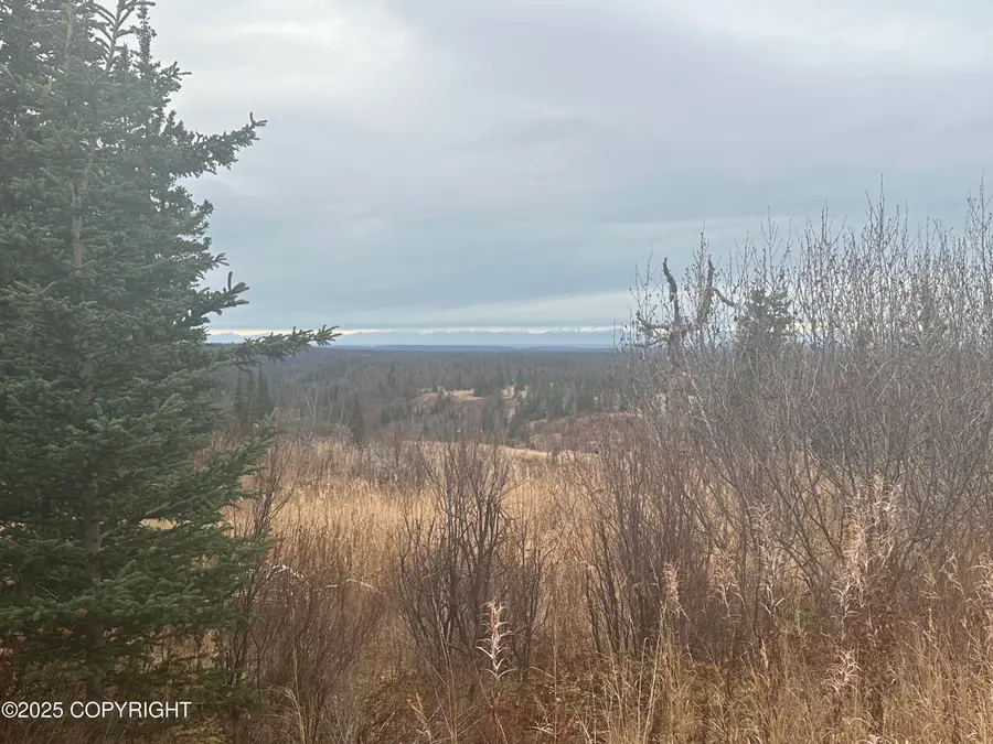 004 Wells Street, Ninilchik, AK 99639 - Image #3