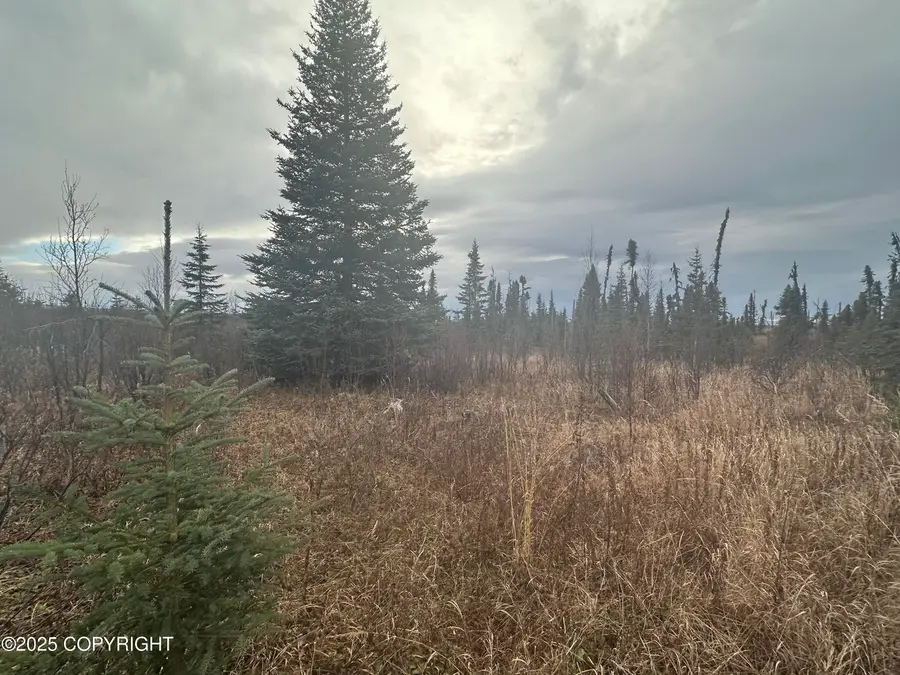 002 Wells Street, Ninilchik, AK 99639 - Image #2