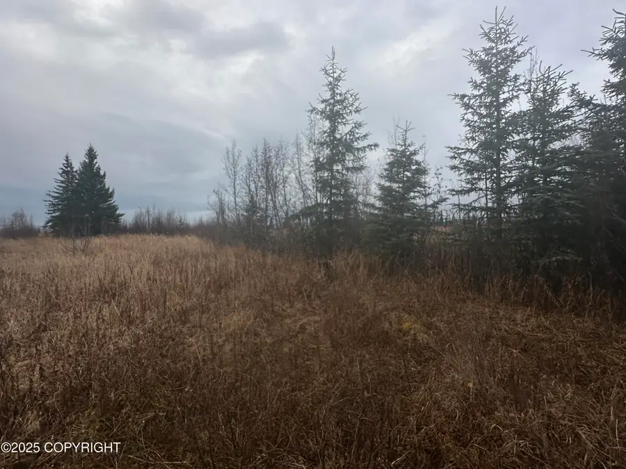 002 Wells Street, Ninilchik, AK 99639 - Image #3