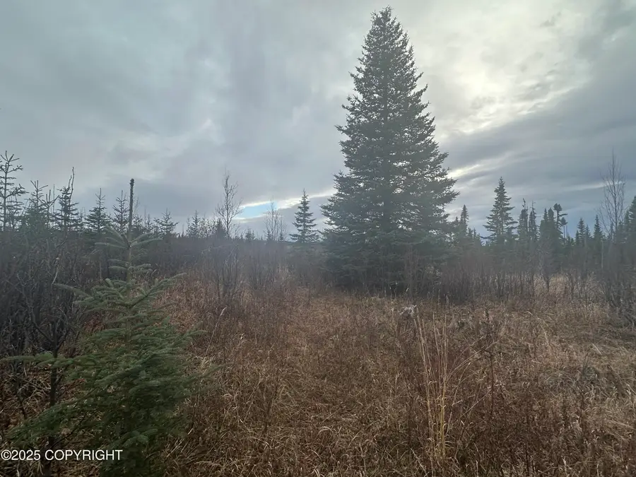 003 Wells Street, Ninilchik, AK 99639 - Image #2