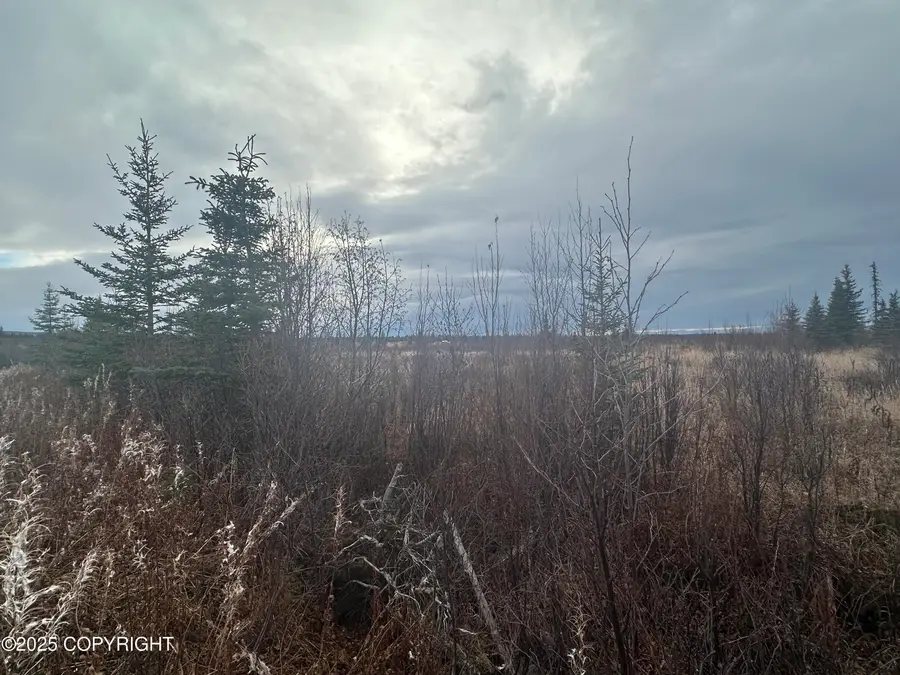 003 Wells Street, Ninilchik, AK 99639 - Image #3