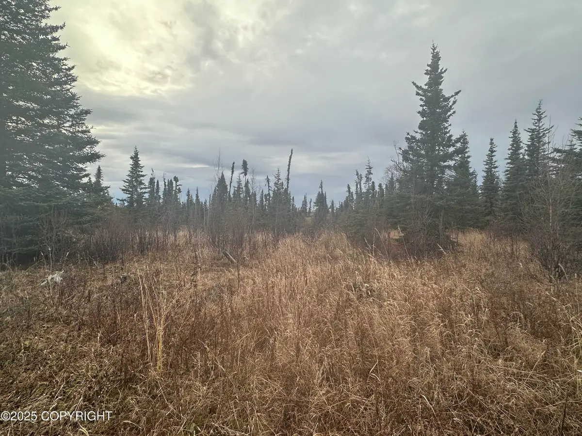 005 Wells Street, Ninilchik, AK 99639 - Image #1