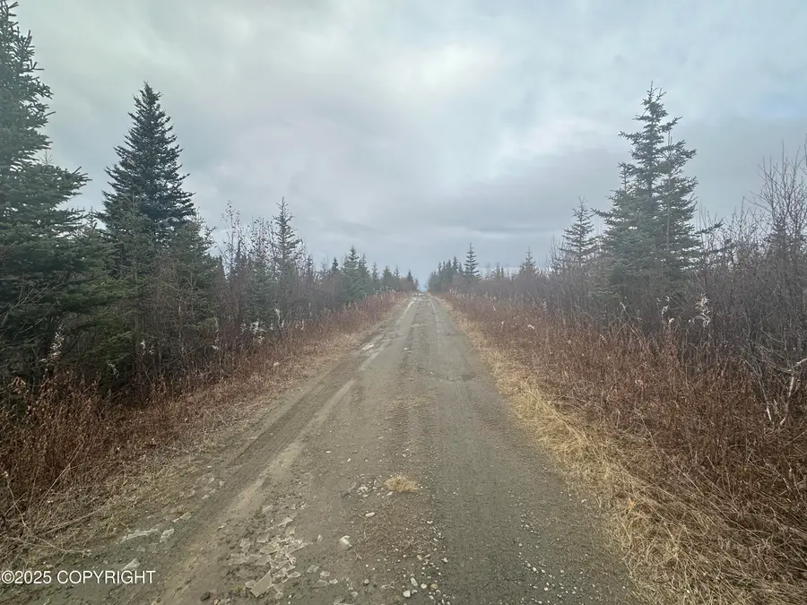 005 Wells Street, Ninilchik, AK 99639 - Image #3