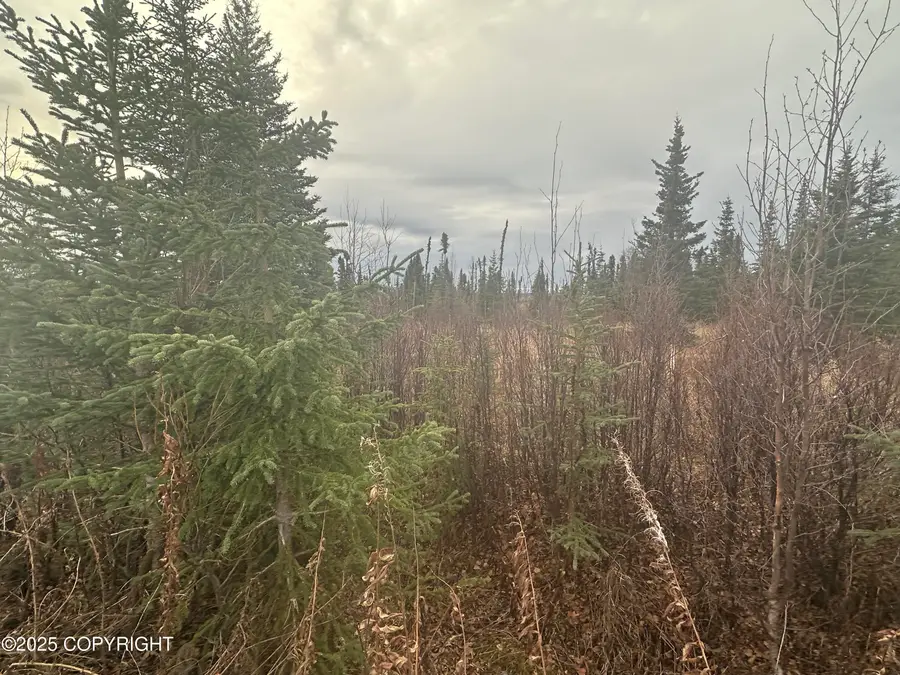 006 Wells Street, Ninilchik, AK 99639 - Image #3