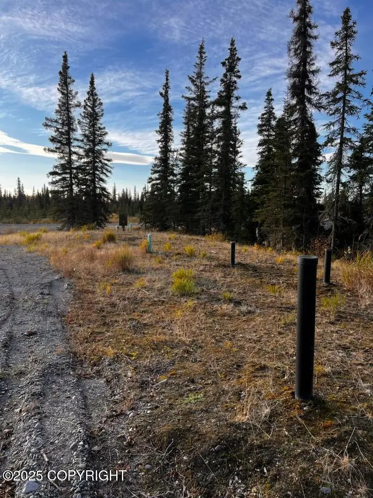 50123 Buoy Avenue, Kenai, AK 99611 - Image #2
