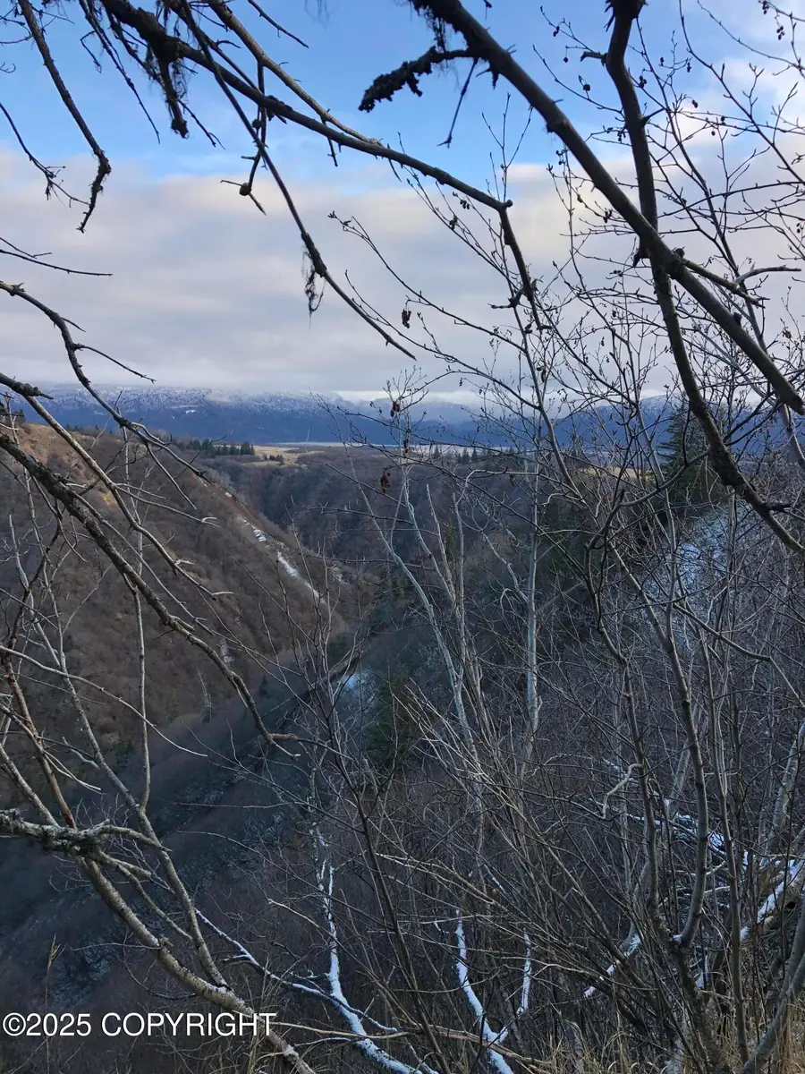 82-215 Alaska State Land Survey, Homer, AK 99603 - Image #2