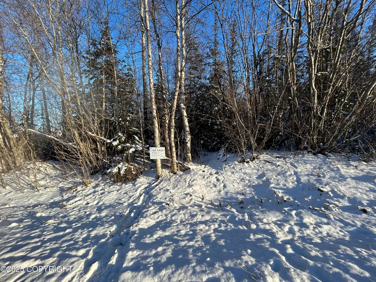 6493 S Viewport Way, Wasilla, AK 99654 - Image #1