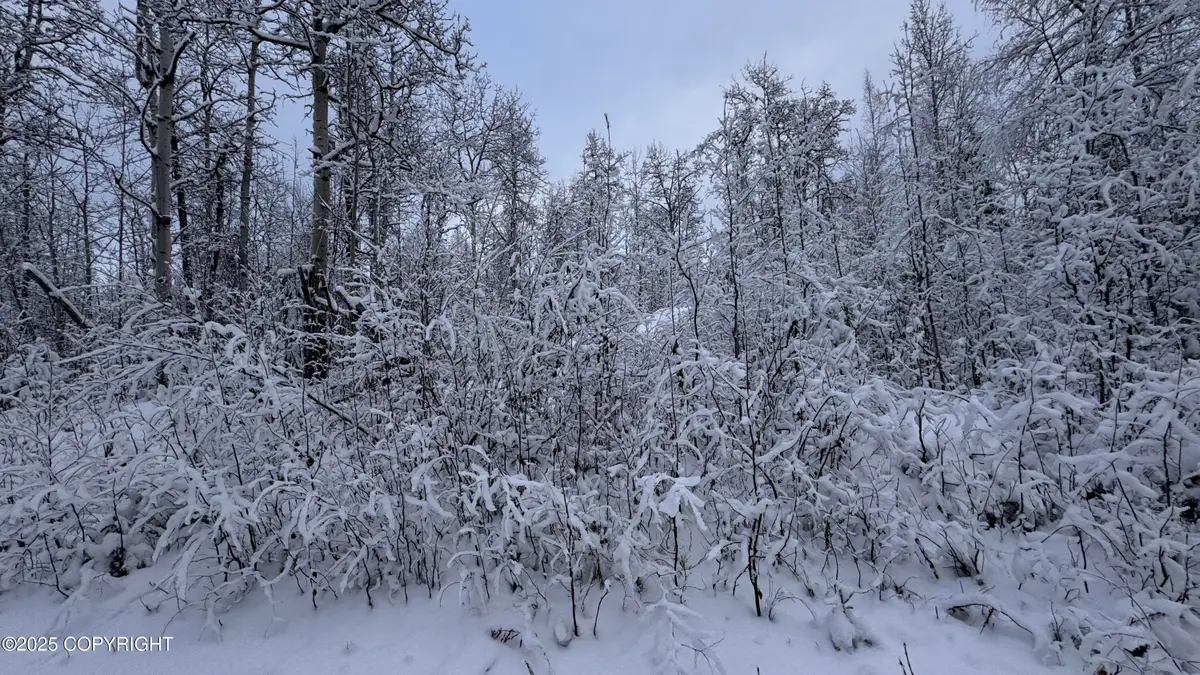48609 S Tussle Circle, Willow, AK 99688 - Image #1