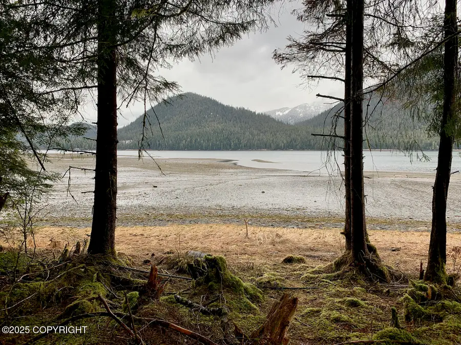 101 Somerset Lane, Petersburg, AK 99833 - Image #2