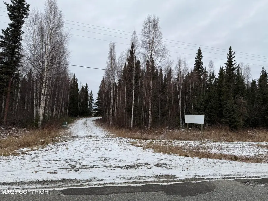 000 Tanana Loop Extension, Delta Junction, AK 99737 - Image #2