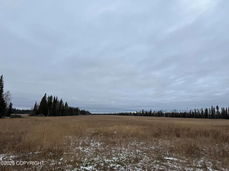 000 Tanana Loop Extension, Delta Junction, AK 99737 - Image #3