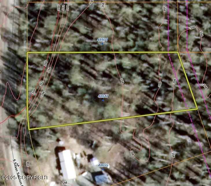 48617 S Silver Salmon Drive, Willow, AK 99688 - Image #1