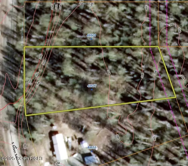 48617 S Silver Salmon Drive, Willow, AK 99688