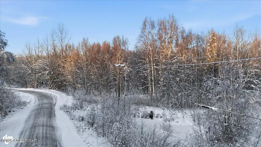 24134 W Stinson Circle, Willow, AK 99688 - Image #3