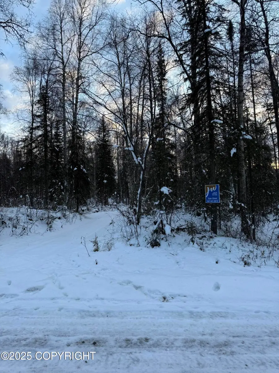 16486 E Barge Drive, Talkeetna, AK 99676 - Image #3