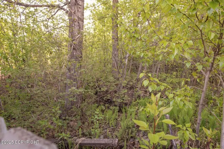 6030 Staedem Drive, Anchorage, AK 99504 - Image #2