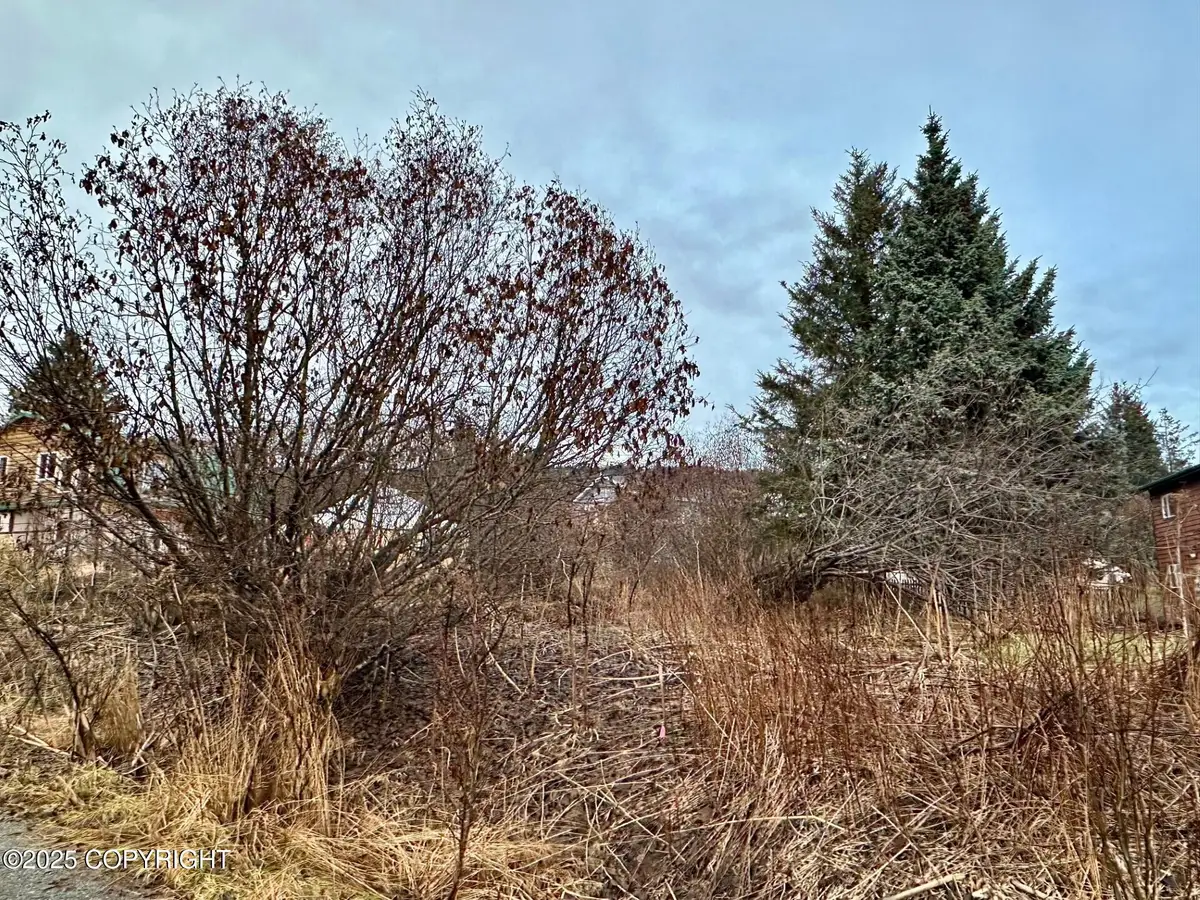858 Linda Court, Homer, AK 99603 - Image #1