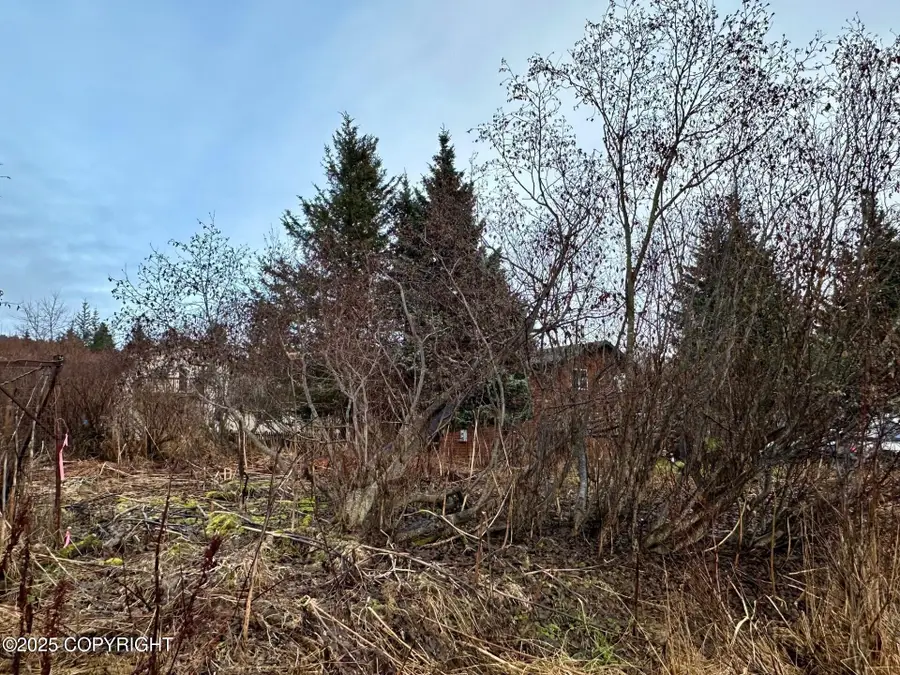 858 Linda Court, Homer, AK 99603 - Image #3