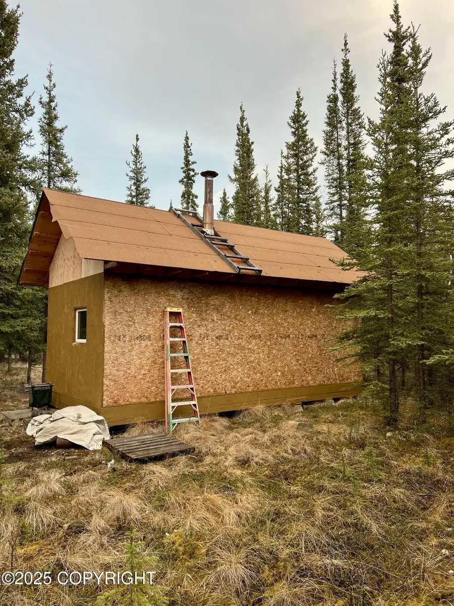 L11 B4 Jack Wade/ Bill Seaton Road, Tok, AK 99780 - Image #3