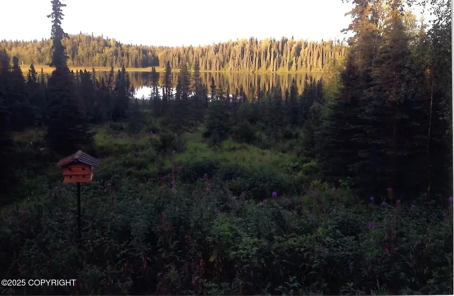 Tr D Asls 85-57, Skwentna, AK 99683 - Image #3